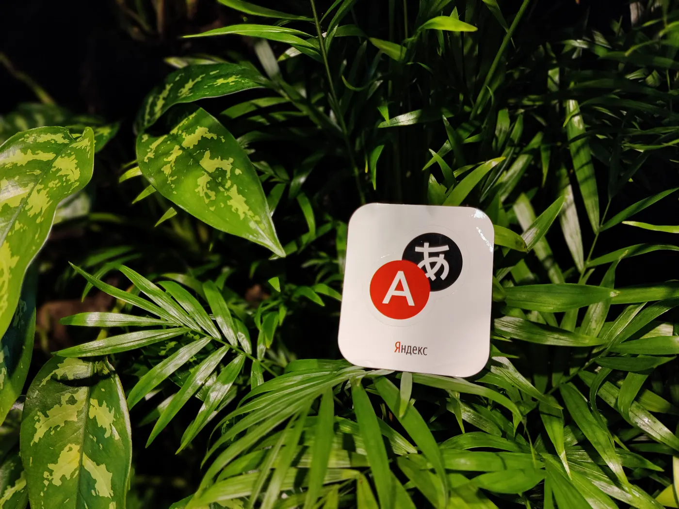 Яндекс Переводчик